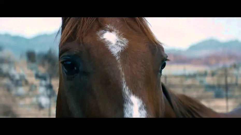 Watch film Out of the Wild | Trailer