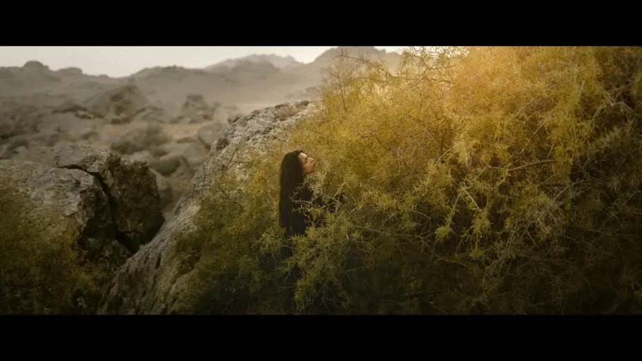Watch film Sermon to the Fish | Official Trailer