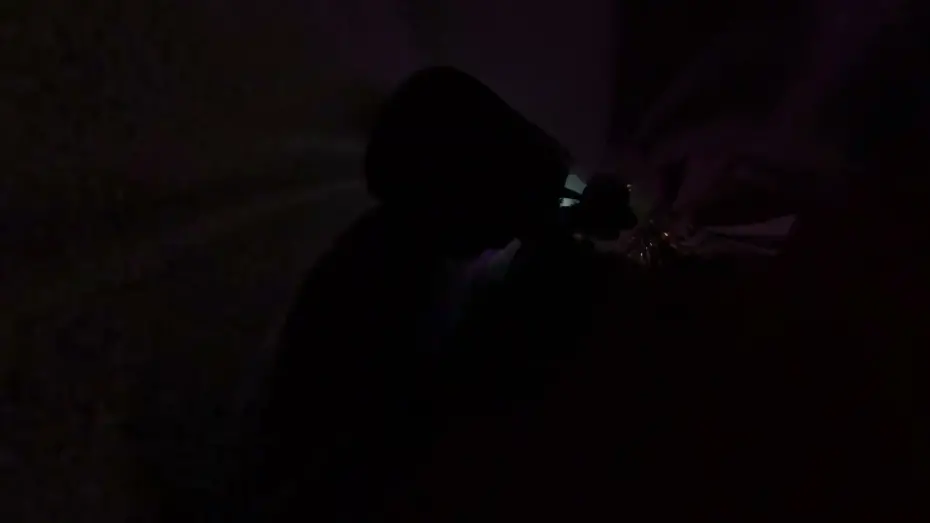 Watch film Revolution or Rollercoaster | 레볼루션 혹은 롤러코스터 Revolution or Rollercoaster | 한국경쟁 Korean Competition | 17TH DMZ Docs Trailer