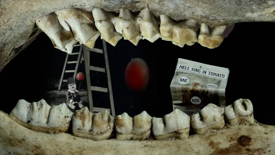 Watch film From Behind Teeth | From Behind the Teeth &ndash; trailer | IFFR 2025