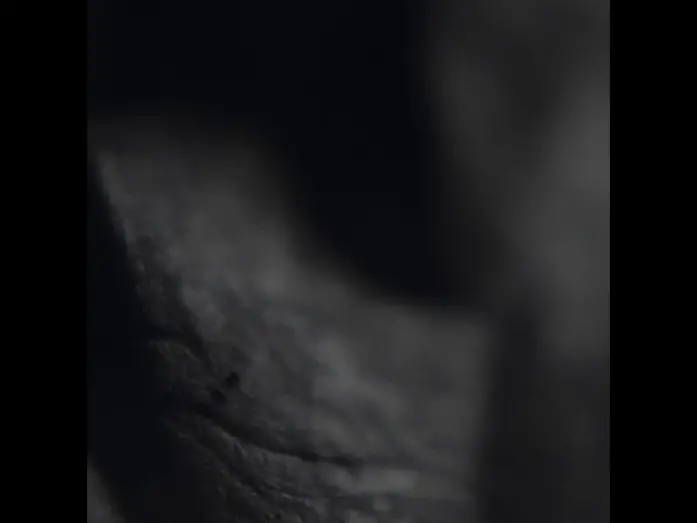 Watch film Halloween | Teaser for HALLOWEEN... Full trailer coming soon... STAY TUNED
