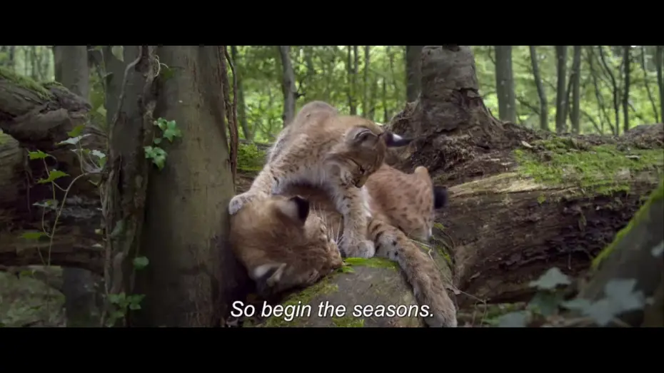 Watch film Seasons | Времена года | Les saisons | Трейлер  | 2015