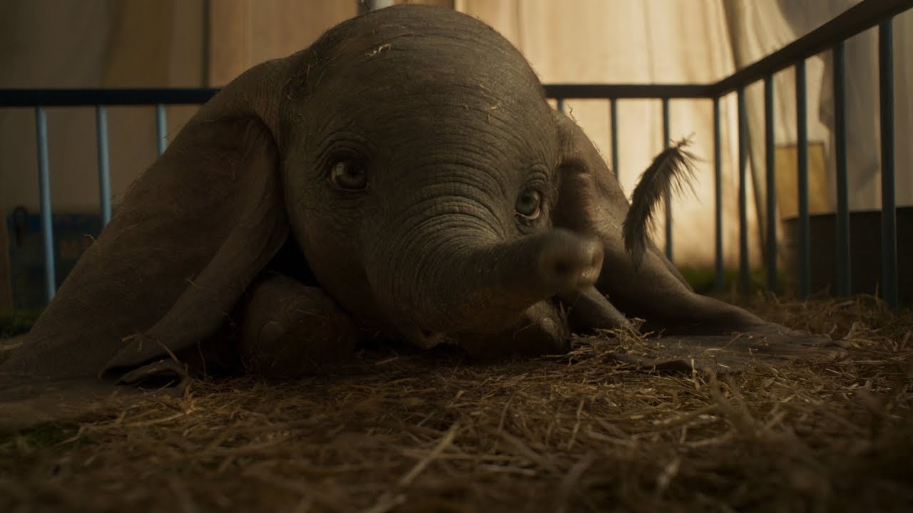 Watch film Dumbo | Дамбо. Офіційний трейлер 1 (український)