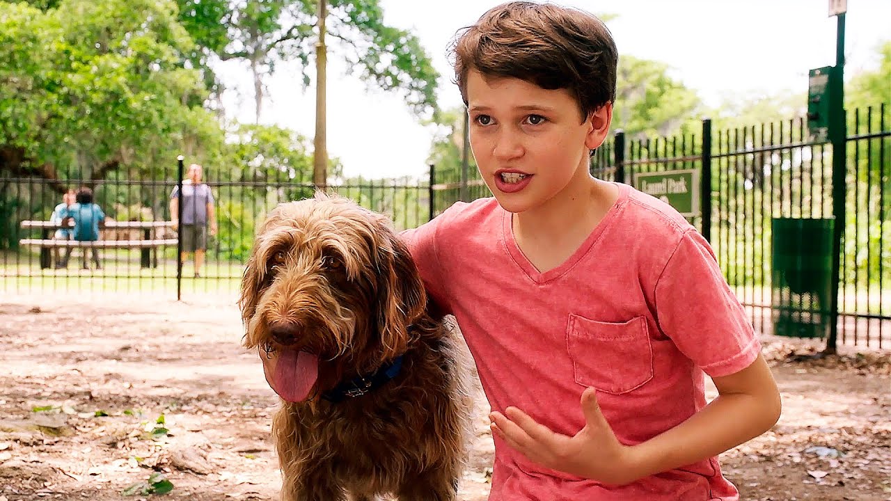 Watch film Think Like a Dog | Думай как собака — Русский трейлер (2020)