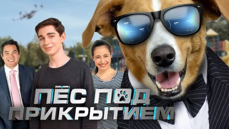 Watch film Agent Toby Barks | Пес под прикрытием. В кино с 29 июля