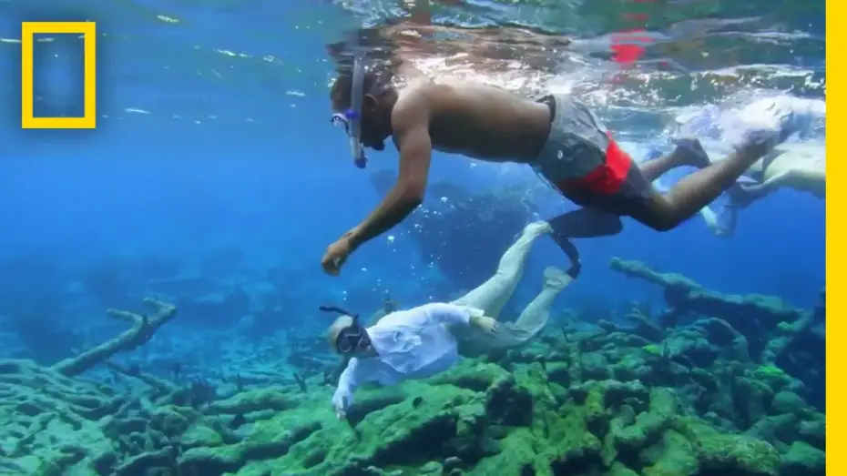 Watch film Sea of Hope: America