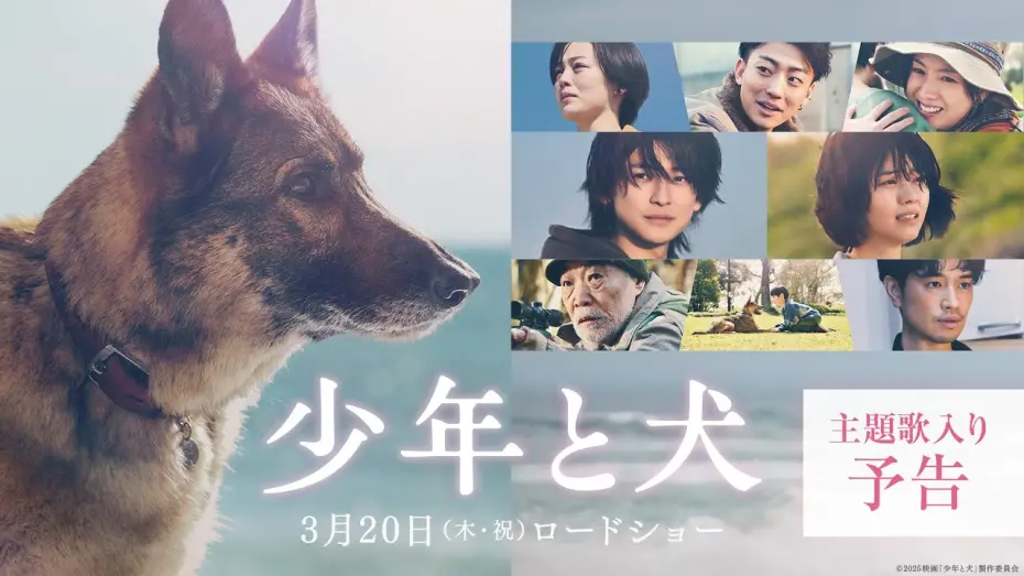 Watch film The Boy and the Dog | 【主題歌 SEKAI NO OWARI「琥珀」】映画『少年と犬』主題歌入り予告映像【3月20日(木・祝)公開】