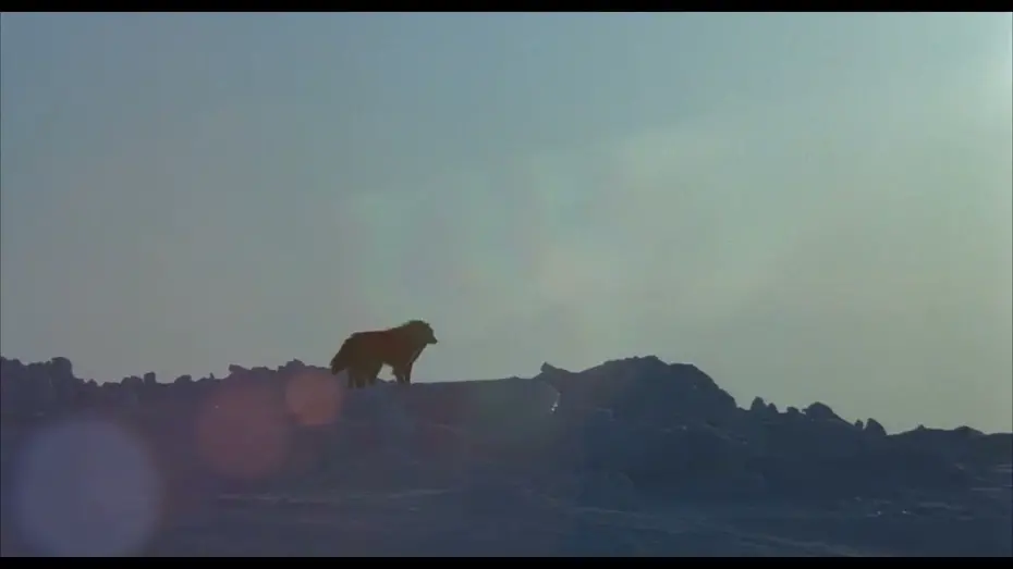 Watch film Antarctica | Antarctica 1983 US theatrical trailer HD (restored)
