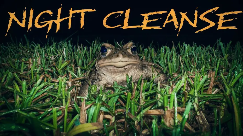 Watch film Night Cleanse | Night Cleanse (2025) | A Short Film