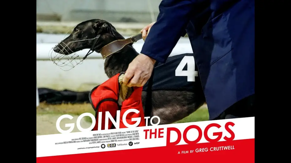 Watch film Going to the Dogs | GOING TO THE DOGS  |  UK theatrical trailer | In cinemas Friday 7th November 2025