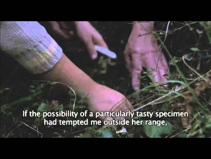 Watch film The Vanquishing of the Witch Baba Yaga | The Vanquishing of the Witch Baba Yaga | Trailer | New Directors 2014