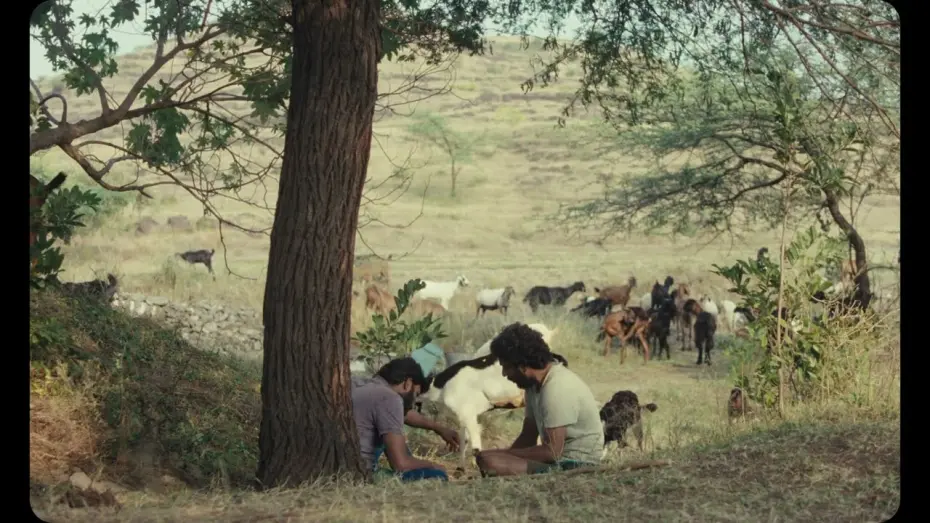 Watch film Cactus Pears | IFFLA 2025 | CACTUS PEARS (Feature) | Clip