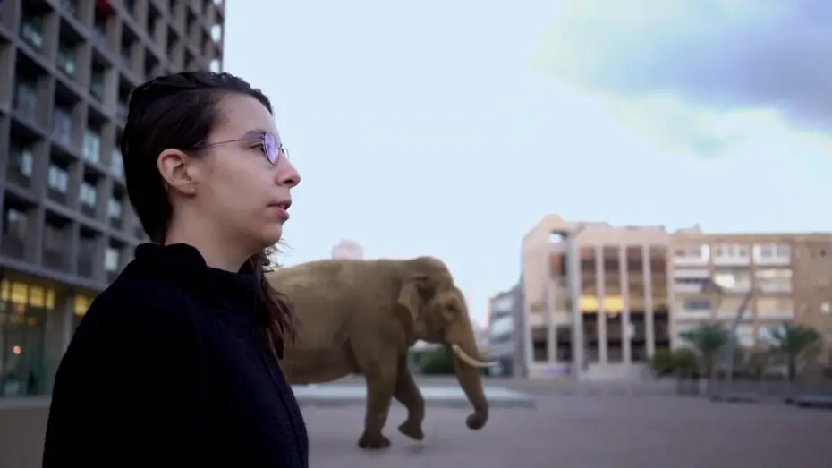 Watch film There are no Lions in Tel Aviv | THERE ARE NO LIONS IN TEL AVIV (Trailer)