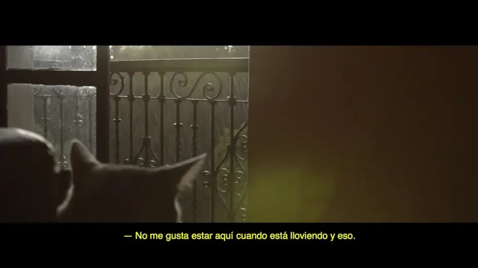 Watch film Cuando Está Lloviendo y Eso | 