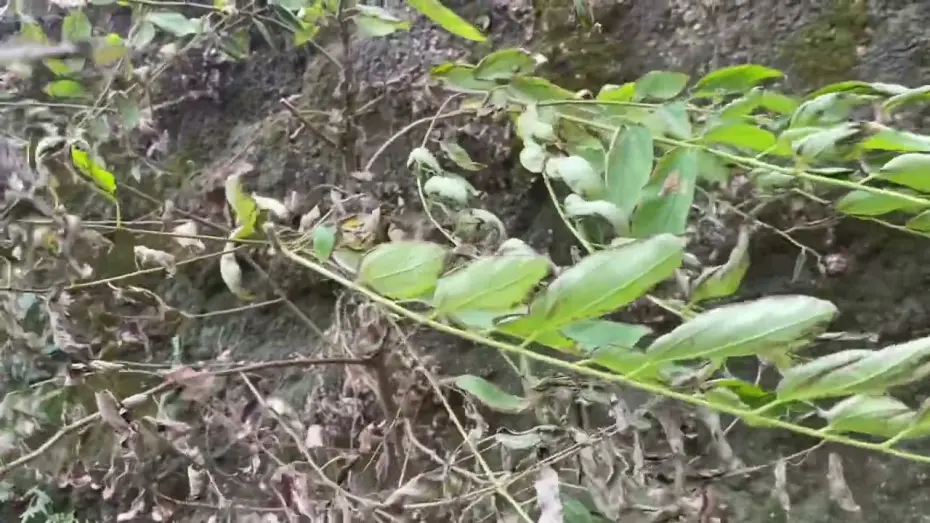 Watch film afternoon in october | afternoon in october