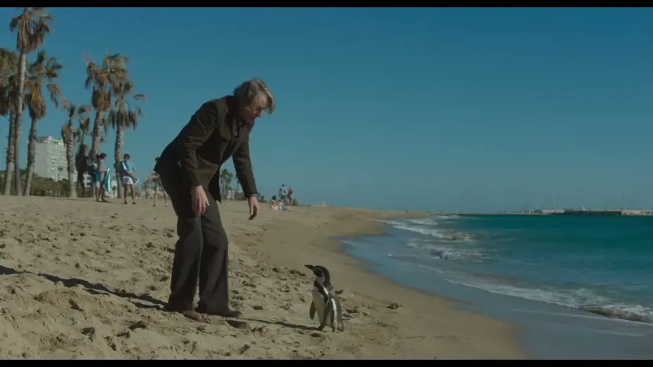 Watch film The Penguin Lessons | Clip