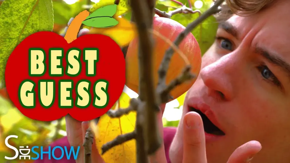 Watch film Best Guess | Best Guess