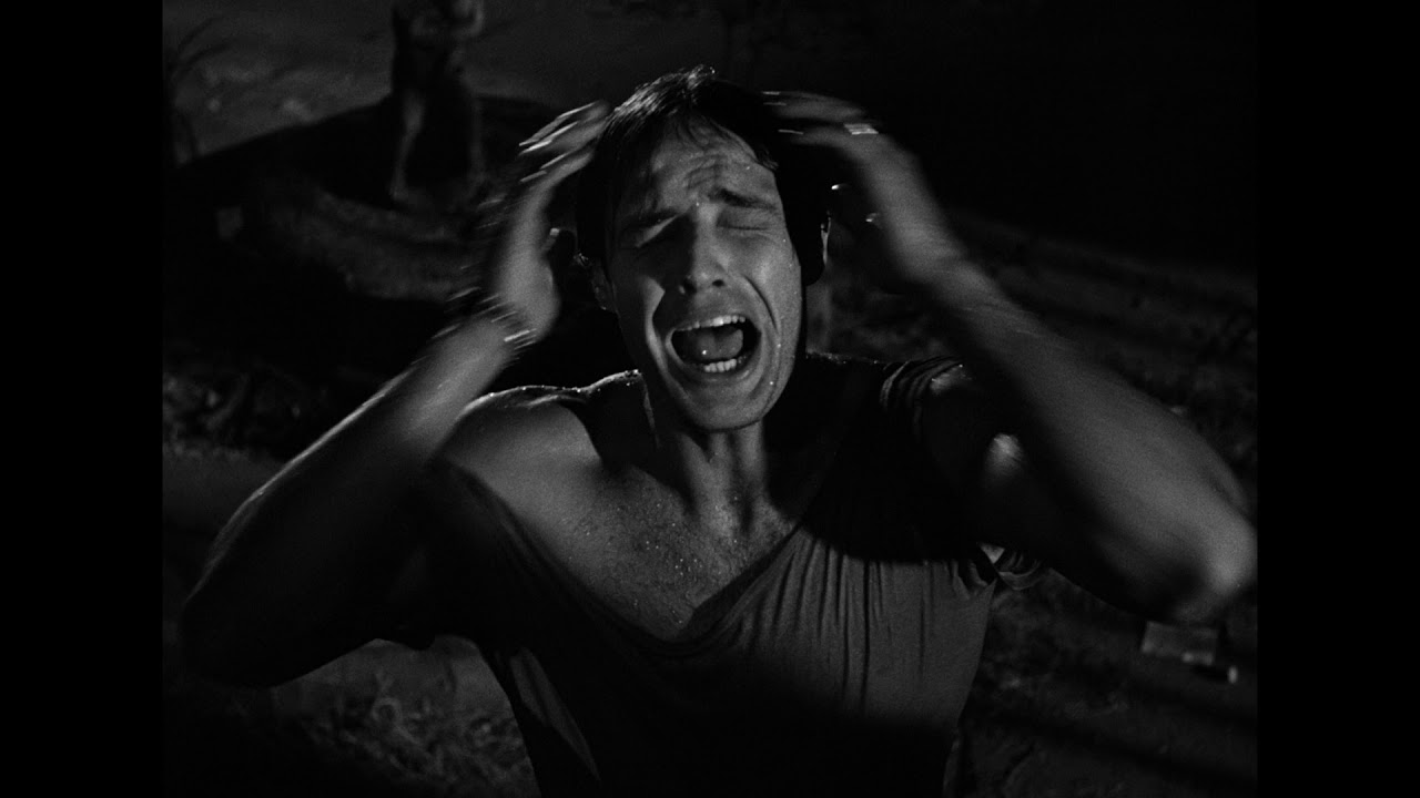 Watch film A Streetcar Named Desire | New trailer for A Streetcar Named Desire - back in cinemas 7 February | BFI