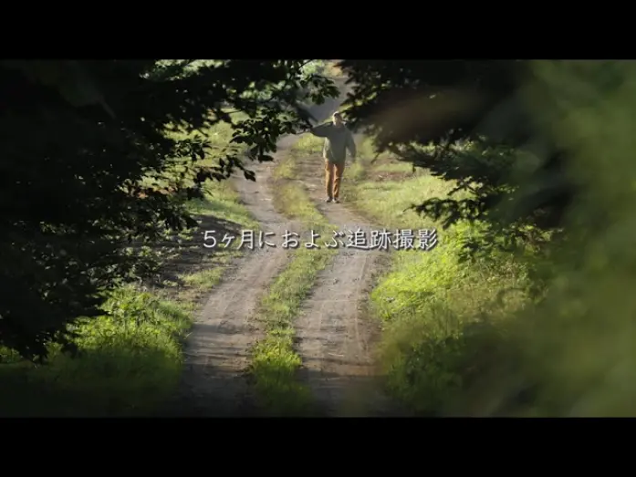 Watch film Pukkulapottas and Hours in the Forest | 「プックラポッタと森の時間」予告編