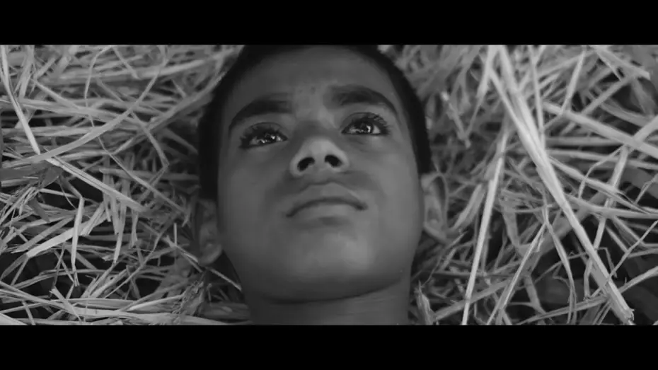Watch film Summer Holiday | SUMMER HOLIDAY Trailer | JAFF 2022