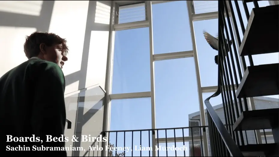 Watch film Boards, Beds & Birds | Boards, Beds & Birds | A Mockumentary