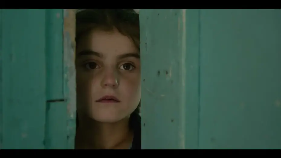 Watch film Another Birth | BIFF2025 Trailer | Another Birth | Competition