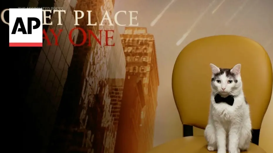 Watch film A Quiet Place: Day One | Meet the REAL star of 