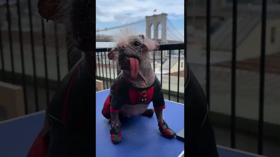 Watch film Deadpool 3 | GRWM to Host a Special Screening of Deadpool & Wolverine