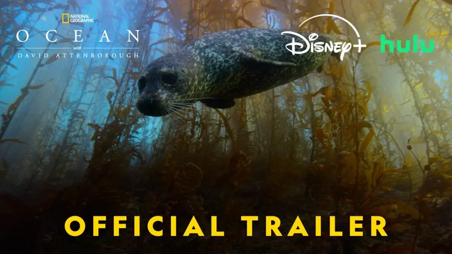 Watch film Ocean with David Attenborough | Official US Trailer