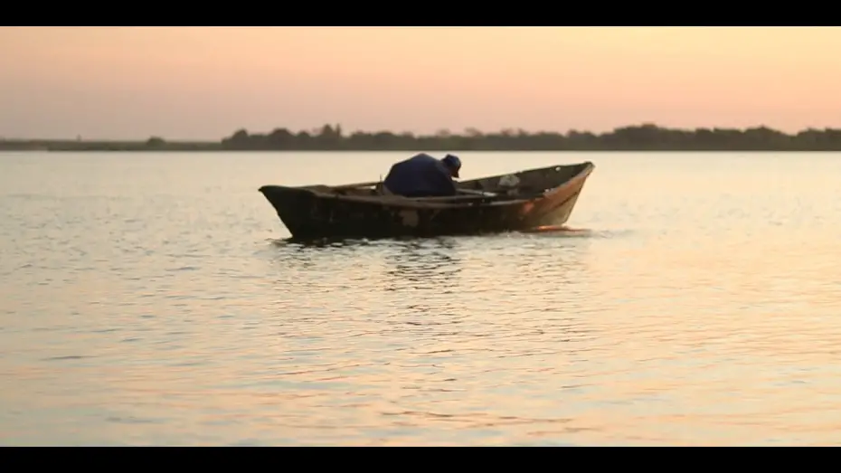 Watch film Pilar won