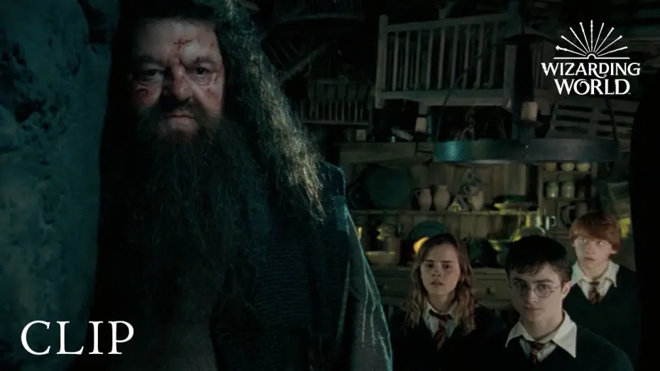 Watch film Harry Potter and the Order of the Phoenix | "There