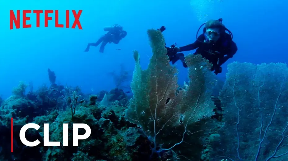 Watch film Mission Blue | The Ocean Is Dying