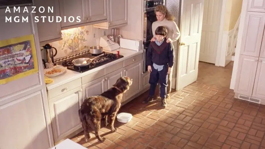 Watch film Fluke | Fluke Finds His Old Family