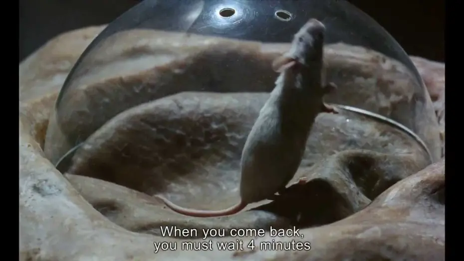 Watch film Je T