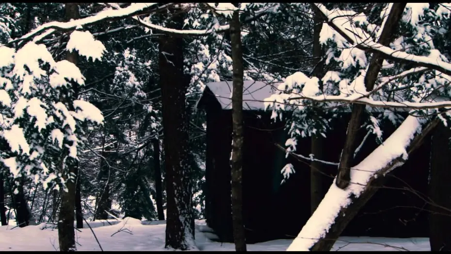 Watch film Salinger | Trailer