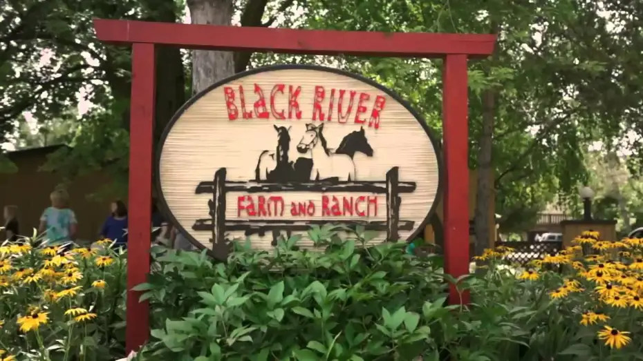 Watch film Horse Camp | Horsecamp Trailer