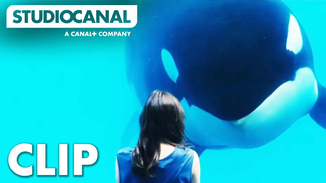 Watch film Rust and Bone | Rust & Bone | Meeting A Whale | Starring Marion Cotillard