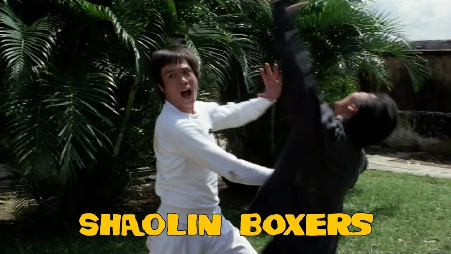 Watch film The Shaolin Boxers | Fight Scene