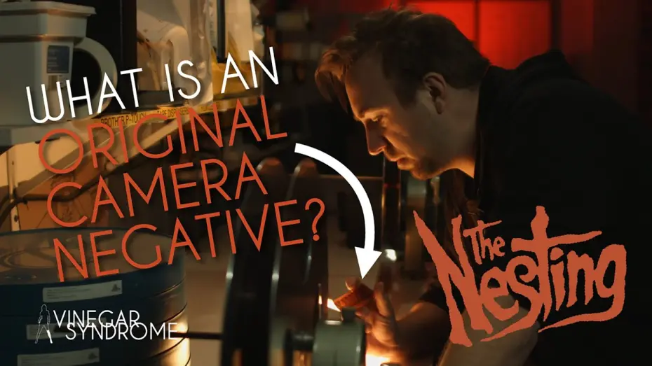 Watch film The Nesting | "Winding Through: THE NESTING" from the Vinegar Syndrome Film Archive
