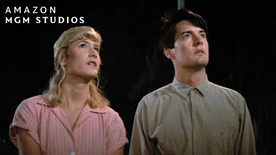 Watch film Blue Velvet | The Detective