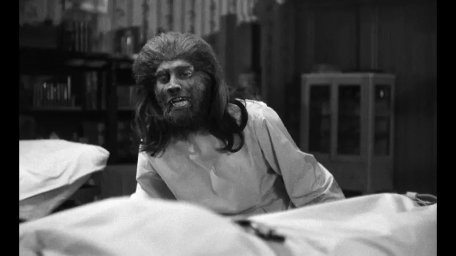 Watch film The Jungle Captive | John Landis on JUNGLE CAPTIVE