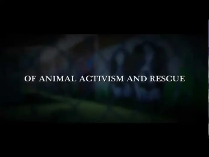 Watch film Give Me Shelter | "Give Me Shelter" Theatrical Trailer - Produced by Katie Cleary