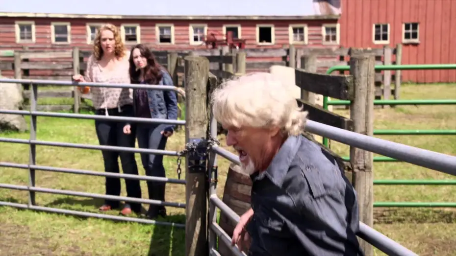 Watch film Midnight Stallion | Midnight Stallion - Trailer