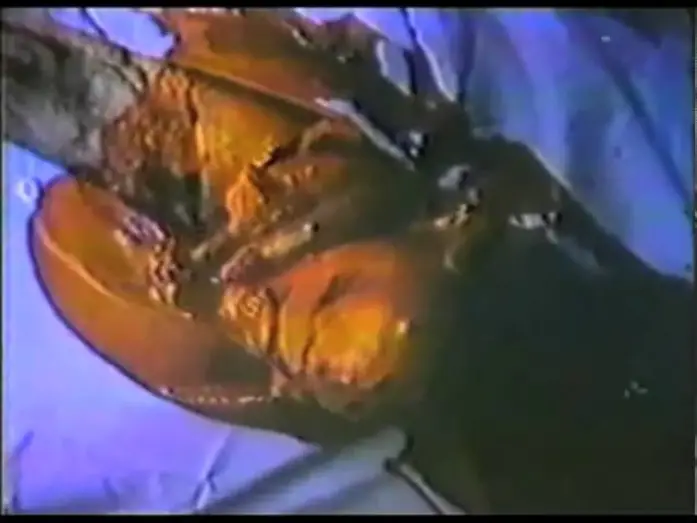 Watch film A Night to Dismember | A Night to Dismember trailer