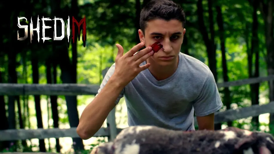 Watch film Shedim | Shedim | Trailer | Jairus Cobb | Jessica Little | Peter G. Howell | Chase Johnson | George Baluzy