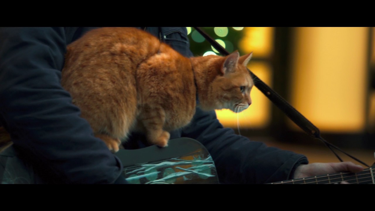Watch movie trailer