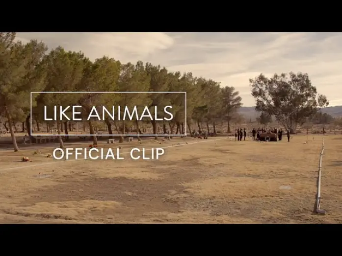 Watch film Like Animals | Like Animals | Official Clip