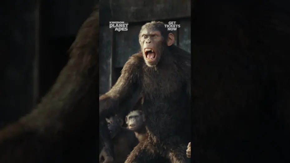 Watch film Kingdom of the Planet of the Apes | In Theaters May 10