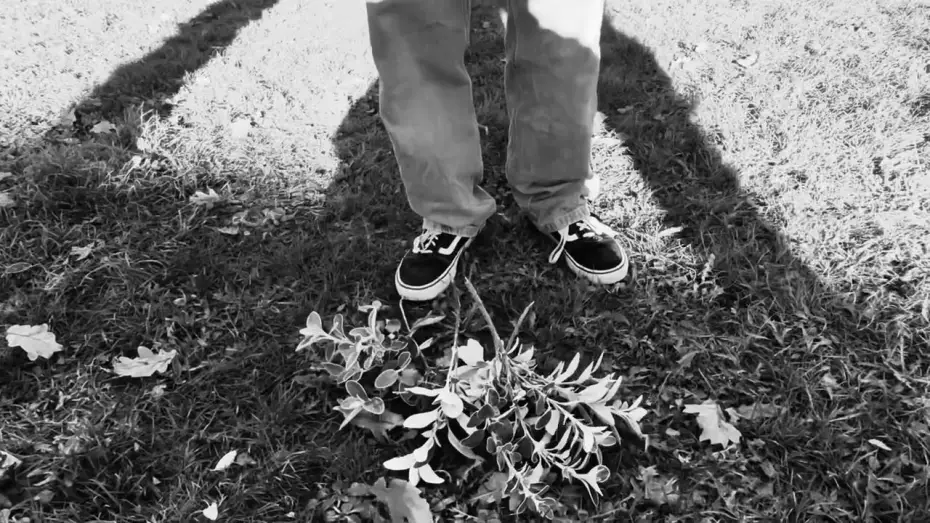 Watch film The Trick | the trick trailer