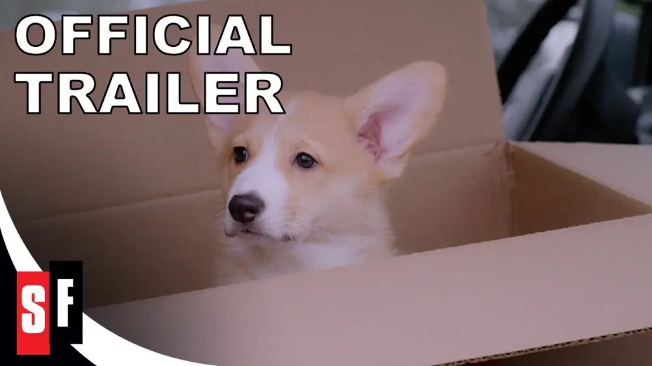 Watch film A Very Corgi Christmas | A Very Corgi Christmas (2019)